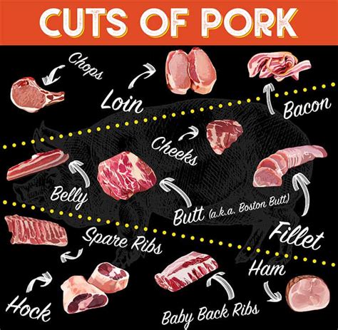 Pork Cuts Of Meat Butcher Chart