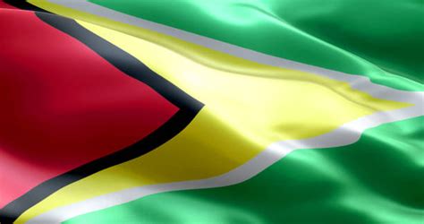 Guyana Flag Stock Photos, Pictures & Royalty-Free Images - iStock