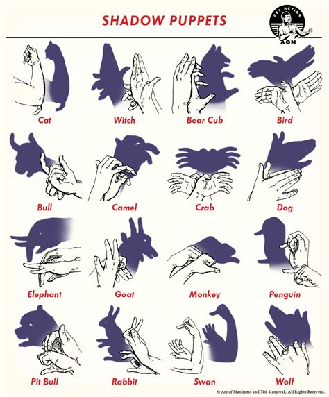 How to Make 16 Shadow Puppets | Hand shadows, Shadow puppets, Shadow ...