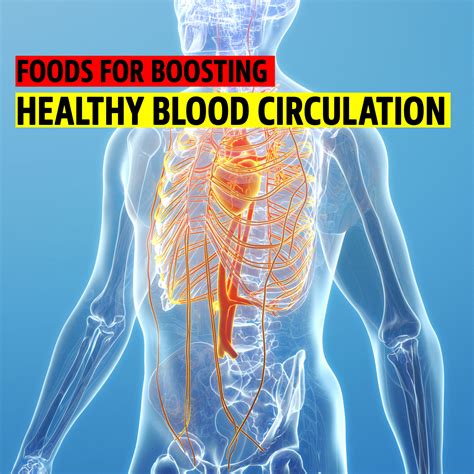 4 healthiest food to have for boosting your blood circulation | 4 Healthiest foods to boost your ...
