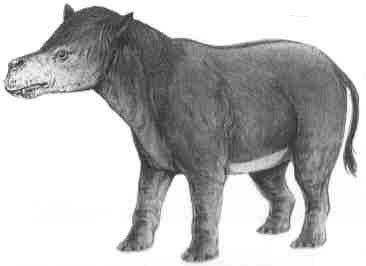 Paleocene mammals of the world