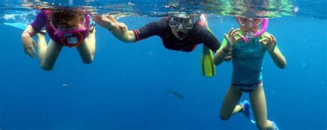 Snorkeling on Catalina Island