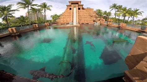 Atlantis water Park Bahamas — Steemit