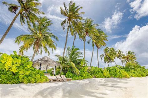 Maldives Paradise Tropical Beach Photograph by Levente Bodo - Fine Art America