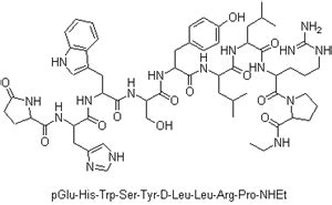 Leuprorelin supplier | CasNO.53714-56-0