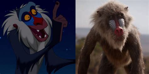 10 Things You Didn't Know About Rafiki From The Lion King