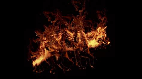 Fire Wolf Wallpapers - Top Free Fire Wolf Backgrounds - WallpaperAccess