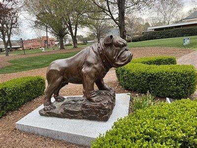 Bulldog - Barton College - Wilson, North Carolina - School Mascots on Waymarking.com