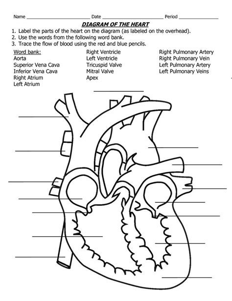 parts of the heart to label - Clip Art Library