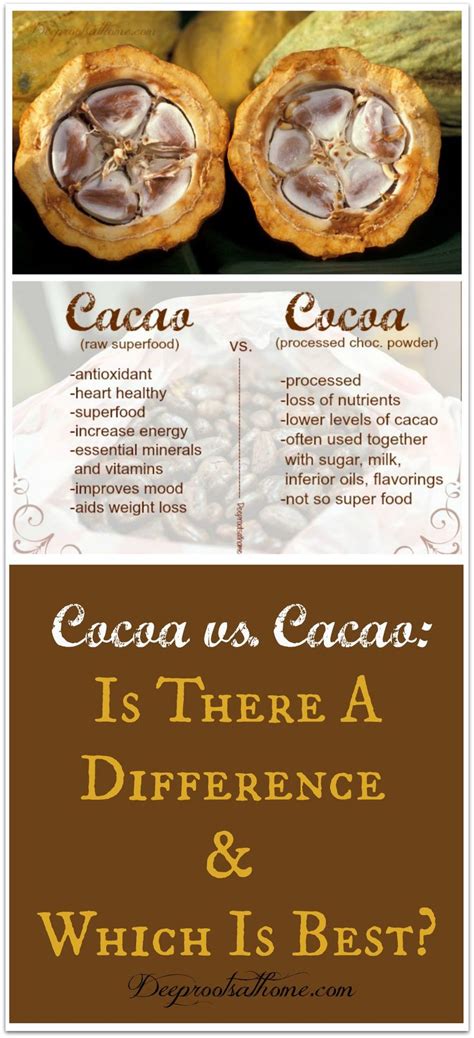 Cacao vs. Cocoa: What's The Difference? Smoothie Diet, Smoothie Recipes, Good Healthy Recipes ...