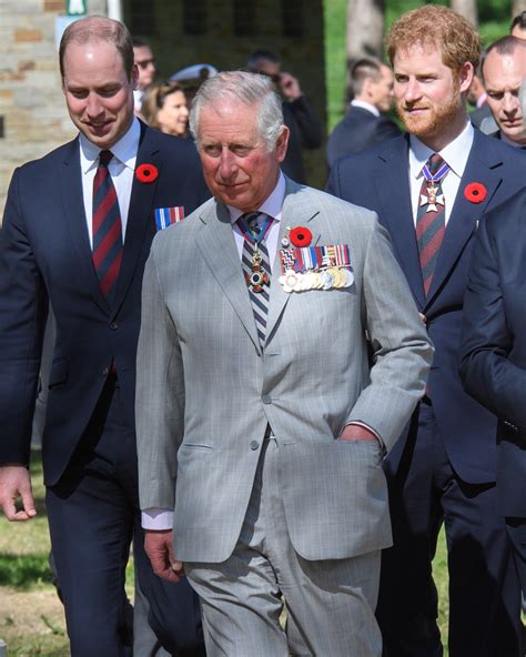 Prince Harry's visit with King Charles III, absence of Prince William ...