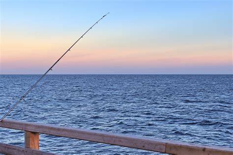 Beginner's Guide to Pier Fishing Success | Salted Angler