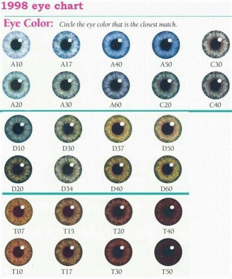 Eye chart | Eye color chart, Eye color facts, Eye color chart genetics