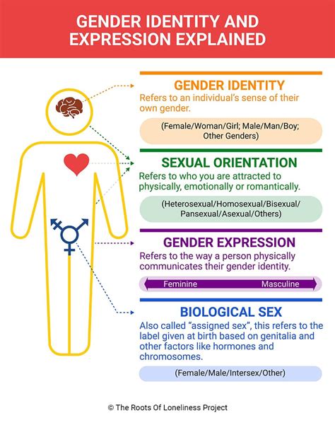 Gender Identity Infographic