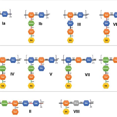 Biochemical capsular polysaccharide (CPS) structure of Streptococcus ...