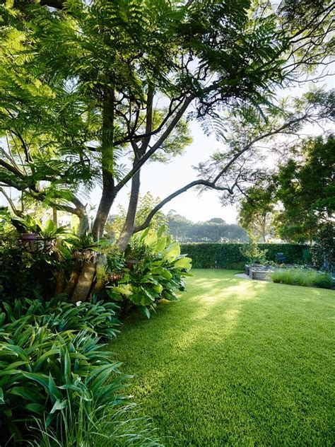 A lush entertainer’s garden in Sydney’s inner-west | Australian garden, Urban garden, Tropical ...