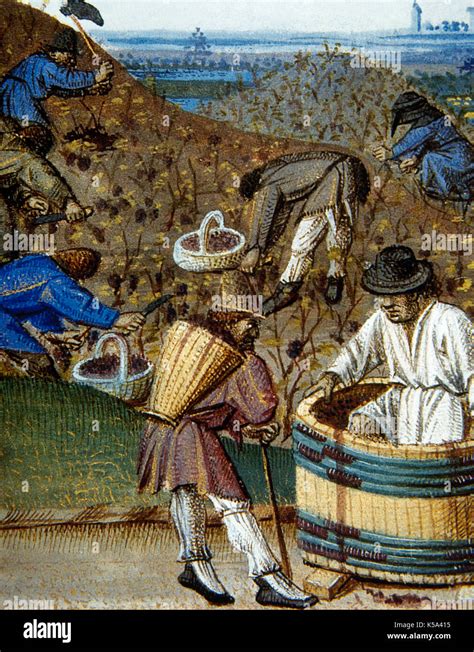 Medieval farmers working in the field. Peasants during the harvest Stock Photo: 158189281 - Alamy