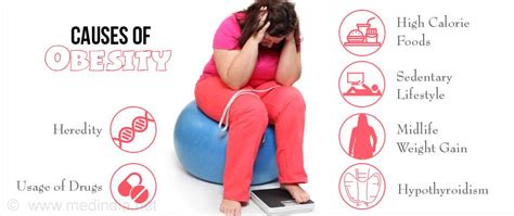 What Causes Obesity? - The Main Factors - The major causes and consequences of obesity. Download ...