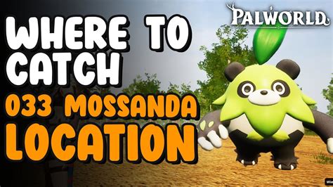 Mossanda Location - Paldeck 033 - YouTube