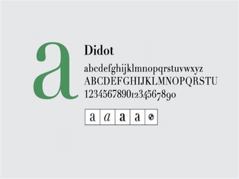 Didot Font Family Free Download - Fonts Empire