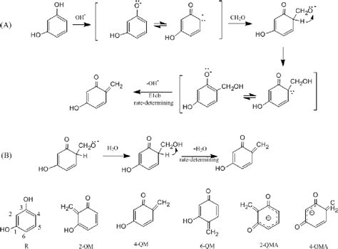 Wahrscheinlich Induzieren Entfernt phenol formaldehyde resin mechanism ...