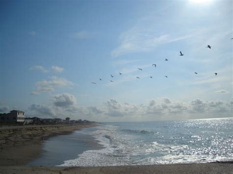 THE 5 BEST Things to Do in Edisto Beach - UPDATED 2020 - Must See ...