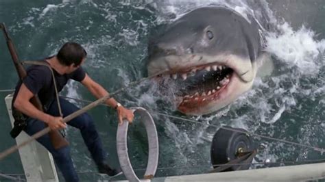 The Ending of 'Jaws' Changed Because of a Real Shark Encounter | Mental Floss