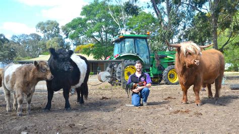 Australian rare livestock breeds fight to preserve them | The Land | NSW