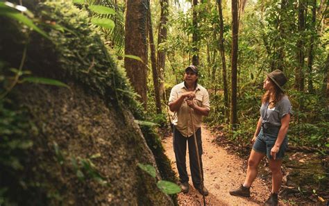 Connect to Country on a Mossman Gorge Dreamtime Walk - We Are Explorers