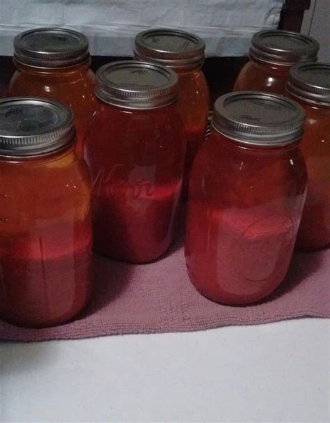 Pressure canning and/or water bath canning tomato juice cocktail (food ...