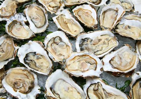 What Do Oysters Eat? (Diet & Facts)