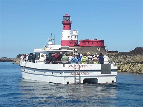 Serenity Farne Island Boat Tours (Seahouses) - 2018 All You Need to ...