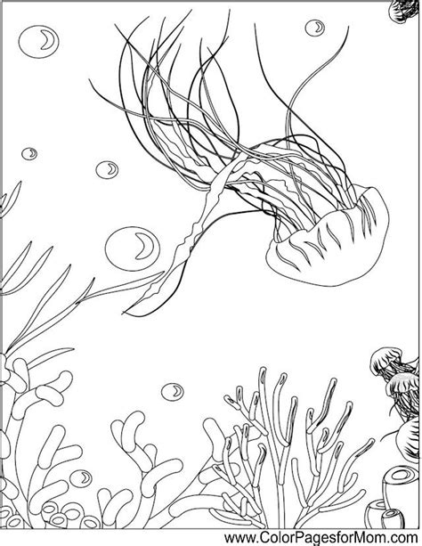 Ocean Plants Coloring Pages - Patricia Sinclair's Coloring Pages