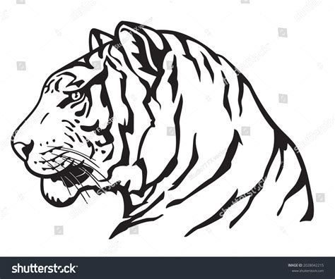 Tiger Head Side View: Over 368 Royalty-Free Licensable Stock ...