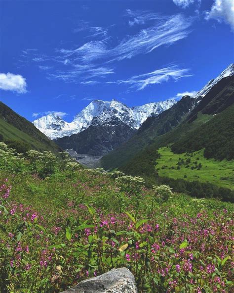 Valley of Flowers: The Complete & Best Trekking + Information Guide 2021