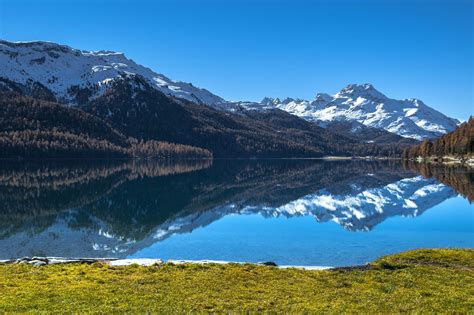 Swiss Lake Silvaplana | Lancashire Farm