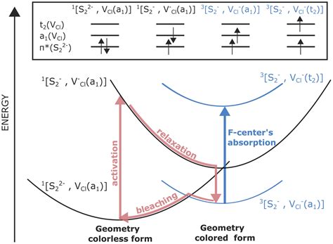 The structural origin of the efficient photochromism in natural ...