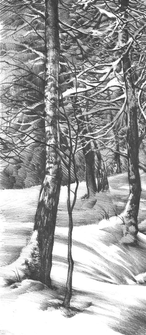 Pencil drawing of "Winter Wonderland" :: Behance