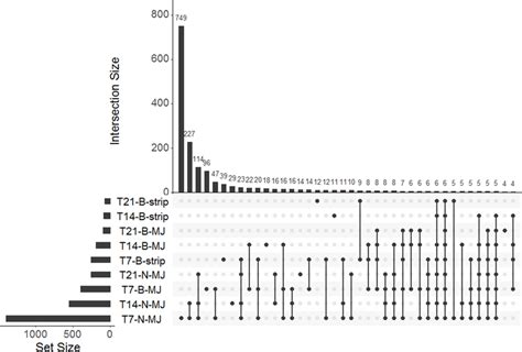 An upset plot showing the number of unique and overlapping... | Download Scientific Diagram