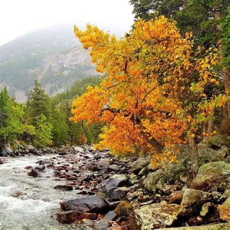 Where to Go for Fall Colors in Montana | Recommended By Montanans