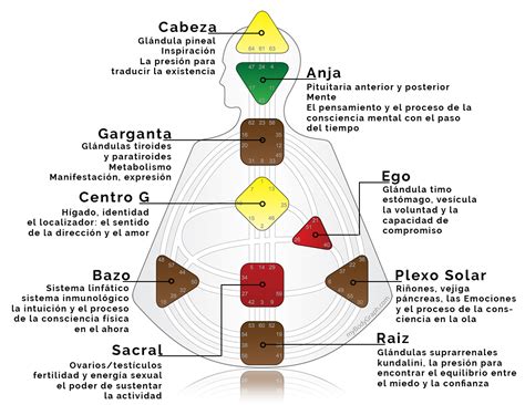 Los Nueve Centros – DISEÑO HUMANO | DESIGN IN MOVEMENT