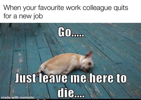 112 Funniest Coworker Memes Guaranteed To Make You Laugh in 2023 ...