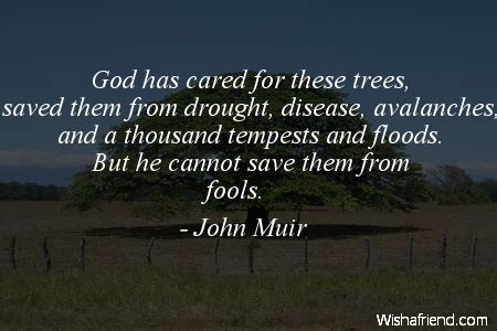 Arbor Day Quotes