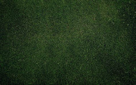 1080P free download | Texture: green grass, texture, background ...