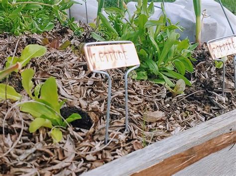 Hand-stamped Copper Plant Labels | May 14, 2020 | sk | Flickr