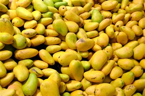 Mangoes Free Stock Photo - Public Domain Pictures