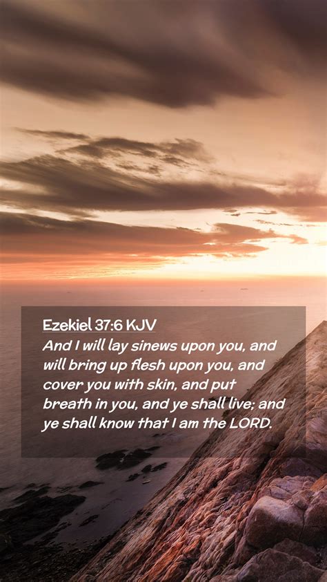 Ezekiel 37:6 KJV Mobile Phone Wallpaper - And I will lay sinews upon ...