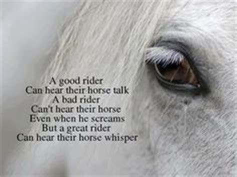 The Horse Whisperer Quotes. QuotesGram