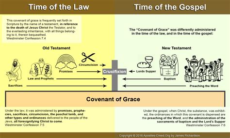 Infographic: The Covenant of Grace looking forward and backward to ...