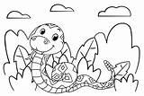 Rattlesnake Color Page  Free Printable Coloring Pages sketch template